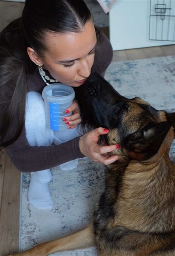 Später soll Vuki auch Giftköder anzeigen, weil er momentan eher Kandidat Staubsauger ist und am liebsten alles fressen würde 😬 Kann dein Hund gewissen Dinge suchen und anzeigen? Finde sowas wie Schlüssel anzeigen ja auch total cool 🤓 #hundetraining #tutorial #hundeauslastung