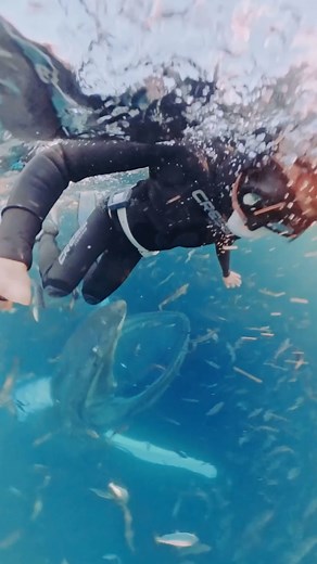 As if we weren’t already afraid of the ocean! | News.com.au