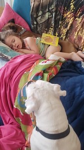 They will always watch over her. She fell asleep reading to Lady. None of this was staged, none of this was posed. #kidsanddogs #dogsarefamily #boxerdog | Its a Boxer Dog Life