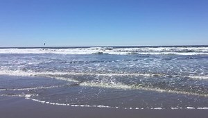 10K views · 135 reactions | Florence, Oregon..A July Trip to Heceta Beach..My Summer Dream! | Bobbie Shots Photography | Facebook
