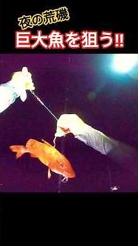 I tried to catch a huge carp-like fish on the rough rocks... #fishing #grouperfishing #IzuPeninsu...
