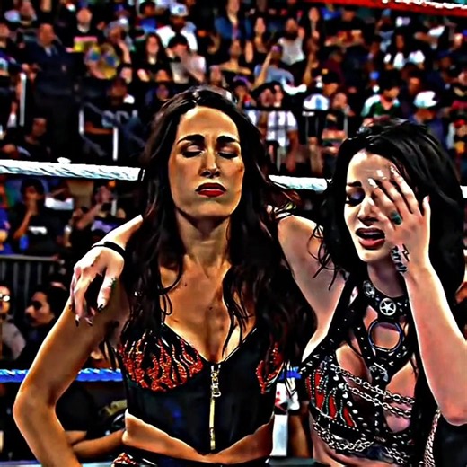 Brie Bella & Paige vs Fallon Henley & Lainey Reid - WWE Women's Tag Team Championship Edit 🥵🔥 #fyp
