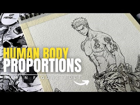 HOW TO DRAW HUMAN FIGURE - BASIC PROPORTIONS | Arts by shubham