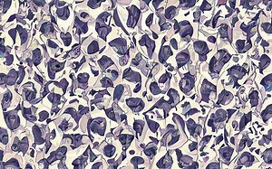 What's the difference between flounder and baby flounder? [2025] | QAQooking.wiki