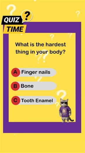 What is the HARDEST thing in your body? #shorts #quiz