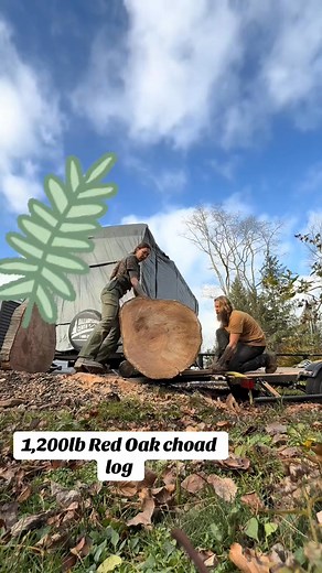 Moving fat logs by hand no big deal. Try and tell me another way to do it! #chainsaw #husqvarnachainsaw #onsitemilling #liv~ #sawmilling #bandsawmill #logging #lumber #woodworkinggirl #loggers #woodlandmills #sawmill #woodworking | Free Footsteps
