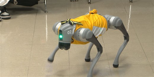 D’Iberville High’s robot dog unleashes STEM excitement