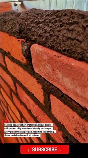 Pro Bricklayer Installs Bricks with Clean Alignment and Expert Precision