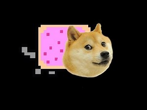 The Story Of Doge