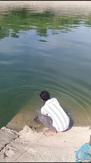 4.4M views · 57K reactions | Big catla fish catching feeder | Ibrahim Ibrahim | Facebook