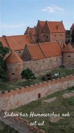 Hammershus har nok set sådan ud #history #ai #bornholm #Hammerhus #tiktok