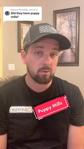 Exposing Puppy Mills Among Amish Communities
