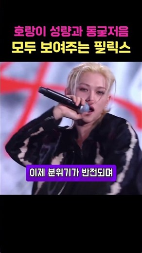 호랑이 성량과 동굴 저음 모두 보여주는 필릭스 #felix #ateez #straykids #필릭스