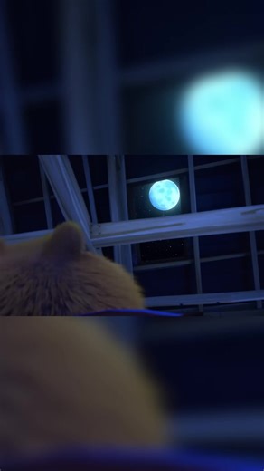 Гриззи и лемминги#unitedstates #мултикидлядетей #беларусь #германия #тулбя #kazakhstan #cartoon #grizzy #мультик