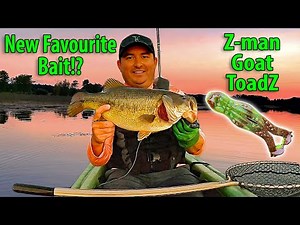 Z-man Goat ToadZ Catches MONDO Bass!!!
