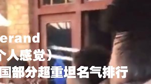 【Gerand】德国部分超重坦人气值排名