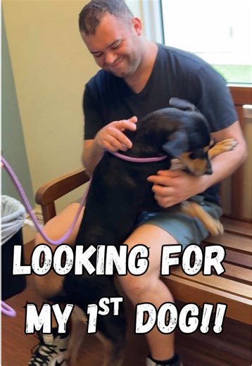 Looking For My 1st Dog! First stop, @Humane Society Broward County What do we think of Basil? . . #tiktokdogs #puppy #florida #vlog #firstdog