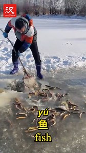 10K views · 98 reactions | In the freezing winter of northeast China's Heilongjiang Province, this fisherman still manages to catch fish (鱼 yú). Let's see how he rapidly scoops fish out of a frozen pond with a net. #脉动中国 | Learn Chinese | Facebook