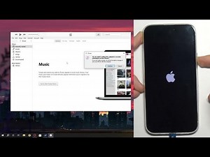 How to Factory Reset by iPhone 15 Plus Recovery Mode