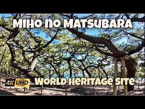 三保松原 Walking Through Miho no Matsubara - Japan's Scenic Pine Grove and World Heritage Site