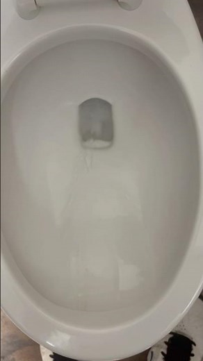 American standard madera toilet flush