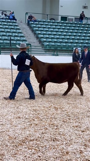 It’s SALE DAY in Reno! Join us today at 1:00 PM on DV Auctions! https://www.dvauction.com/ | Garrett Knebel