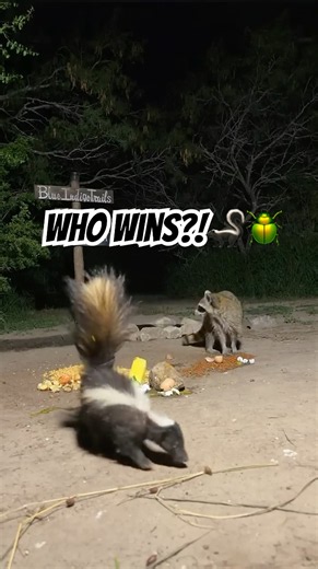 Bug Vs Skunk Part 2