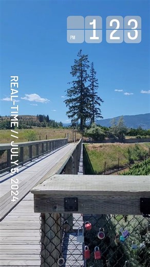 Summer has arrived in Penticton! A great day to walk or bike the Kettle Valley Rail Trail. Stop along the way to enjoy the view from the McCulloch Trestle. Real-Time // July 5th, 2024. #visitpenticton #visitsouthokanagan #thompsonokanagan #explorebc #realtime #realtimepenticton #reeltime #kvrtrail #fuelfreepenticton #fuelfreealmost #penticton #kettlevalleyrailtrail #summer | Visit Penticton