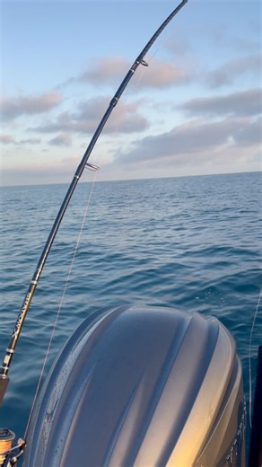 The five S’s. Summer. Shimano. Senator. Straylining. Snapper. Hard to beat this time of year! Shimano Fishing New Zealand Senator Boats Yamaha Marine New Zealand Black Magic Tackle TimeZero Navigation Software Furuno New Zealand NZ Fishing News #fishing #strayline #shimano #shimanoreels #thunnus #baitrunner #snapper #snapperfishing #fishinglife #fishingtrip #fishingislife #fishingadventure #fishingaddict | Dan Govier Fishing NZ