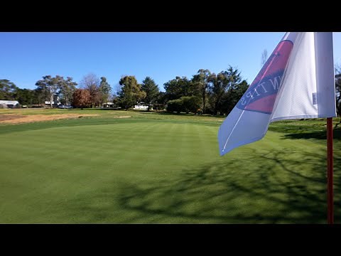 REAL GRASS Golf Green Build in my Backyard