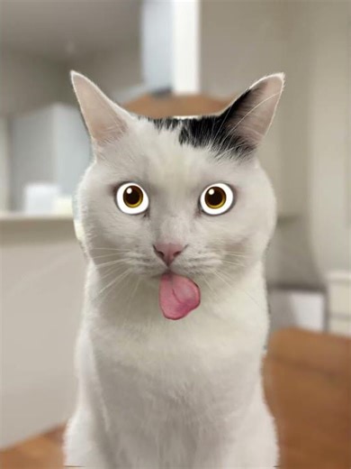 what do you think about a ...