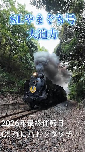 SLやまぐち号 D51200今期ラストラン C571へバトンタッチ2026年8月30日 #蒸気機関車#SLやまぐち号