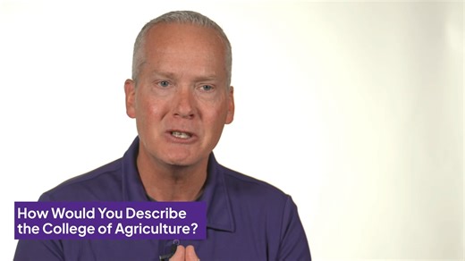 3.5K views · 51 reactions | We asked all types of AgCats which two words best describe the K-State College of Ag.  What are your two words? | K-State College of Agriculture | Facebook