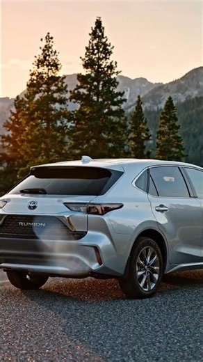 cng rumion top modle