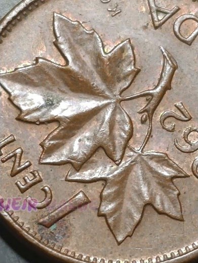 🇨🇦Everything You Need to Know About the 1962 Canadian Penny💰CanadianCoin #1962Penny #CoinCollector