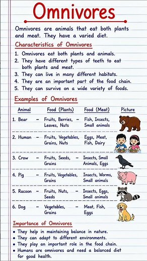 Omnivores 🐻 | Animals That Eat Plants and Meat