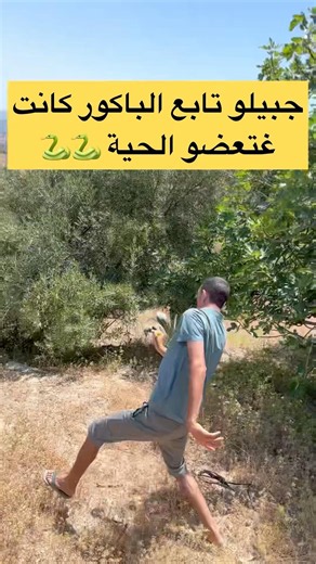 جبيلو تخلع يسحابو الحية عضاتو #المغرب #اكسبلور #comedy #عشقالطبيعه