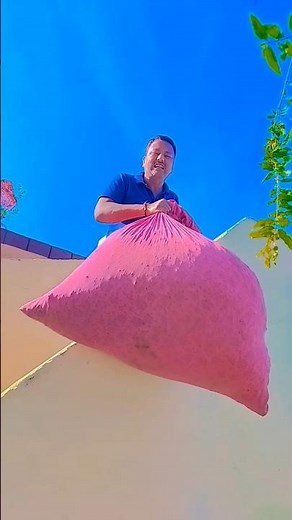 Cute puppy 🥺♥️🥰#viral #trending #ytshorts