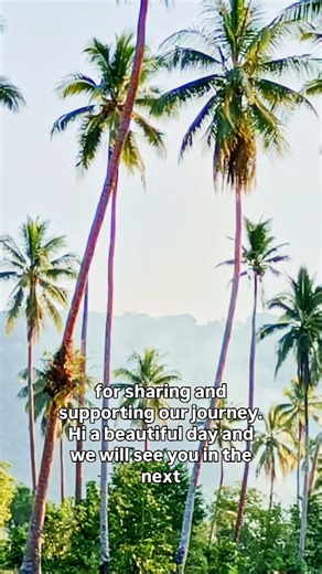 Vanuatu Right Now 🇻🇺✨ Vanuatu remains one of the most unique island nations in the South Pacific, offering a mix of raw beauty, vibrant culture, and everyday island life that feels worlds away from anywhere else. Travelers arriving today will find a place where tradition and modern life blend together — from lively local markets to relaxed coastal villages and stunning landscapes shaped by volcanoes and the ocean. Life here moves slowly and naturally. Shops play reggae, locals carry machetes a