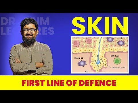 Skin | First Line of Defence | Innate Immunity