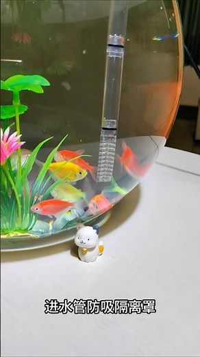 This Round Aquarium Filter Solves the Biggest Fish Tank Problem! 🐠💧#RoundAquarium #RoundTankFilter