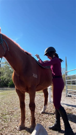 My Horseback Riding Journey: Equestrian Life Vlog