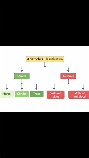 Biological classification of class 11th in one video.Don't forget to subscribe my channel.