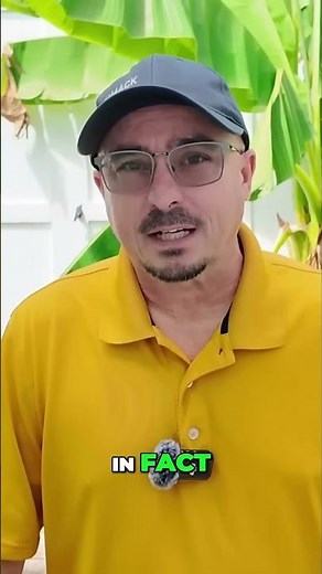 Crossband Repeat - Is it REALLY Worth It #hamradio