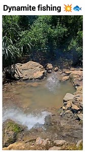 614K views · 8.4K reactions | Dynamite fishing  | Rohan | Facebook