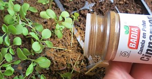 32 Gardening Hacks – DIY Garden Projects