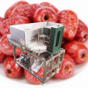 [Hot Item] Best Price Cherry Seed Remover Machine High Quality Coring Machine Olives Pitting Machine for Dates