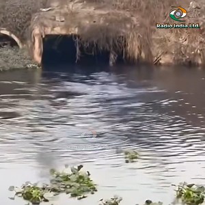 535K views · 10K reactions | ਅੱਜ ਦਿਨ ਚੜਦੇ ਲੱਖਾ ਤੇ ਮਾਨ ਫੈਕਟਰੀਆਂ ਦੇ ਬਾਹਰ ਜਾ ਕੇ ਹੋ ਗਏ ਗਰਮ।।ਆਹ ਵੇਖਲੋ ਇੰਨਾ ਦੇ ਹਾਲ ਹੁਣ ਤਾਂ ਸ਼ਰੇਆਮ ਕਰ ਰਹੇ ਨੇ ਕੰਮ,,ਹੁਣ ਤਾਂ ਯਾਰ ਖੋਲ ਲਉ ਅੱਖਾਂ | Radio India | Facebook