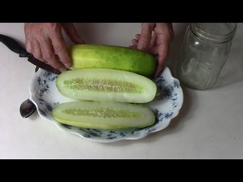 How To Easily Save All The Cucumber Seeds You Want Using Fermentation
