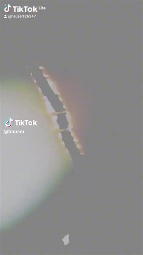 Stephen Hauser (@hausercello7322)’s videos with original sound - Stephen Hauser